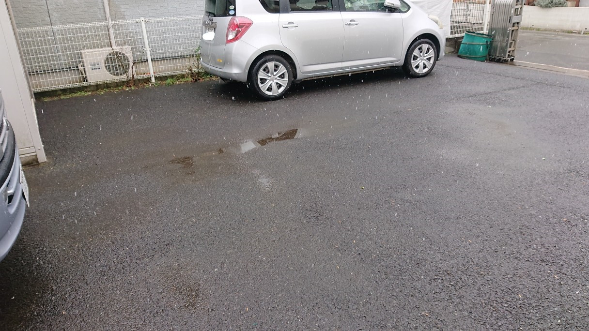 雪が降ってます！